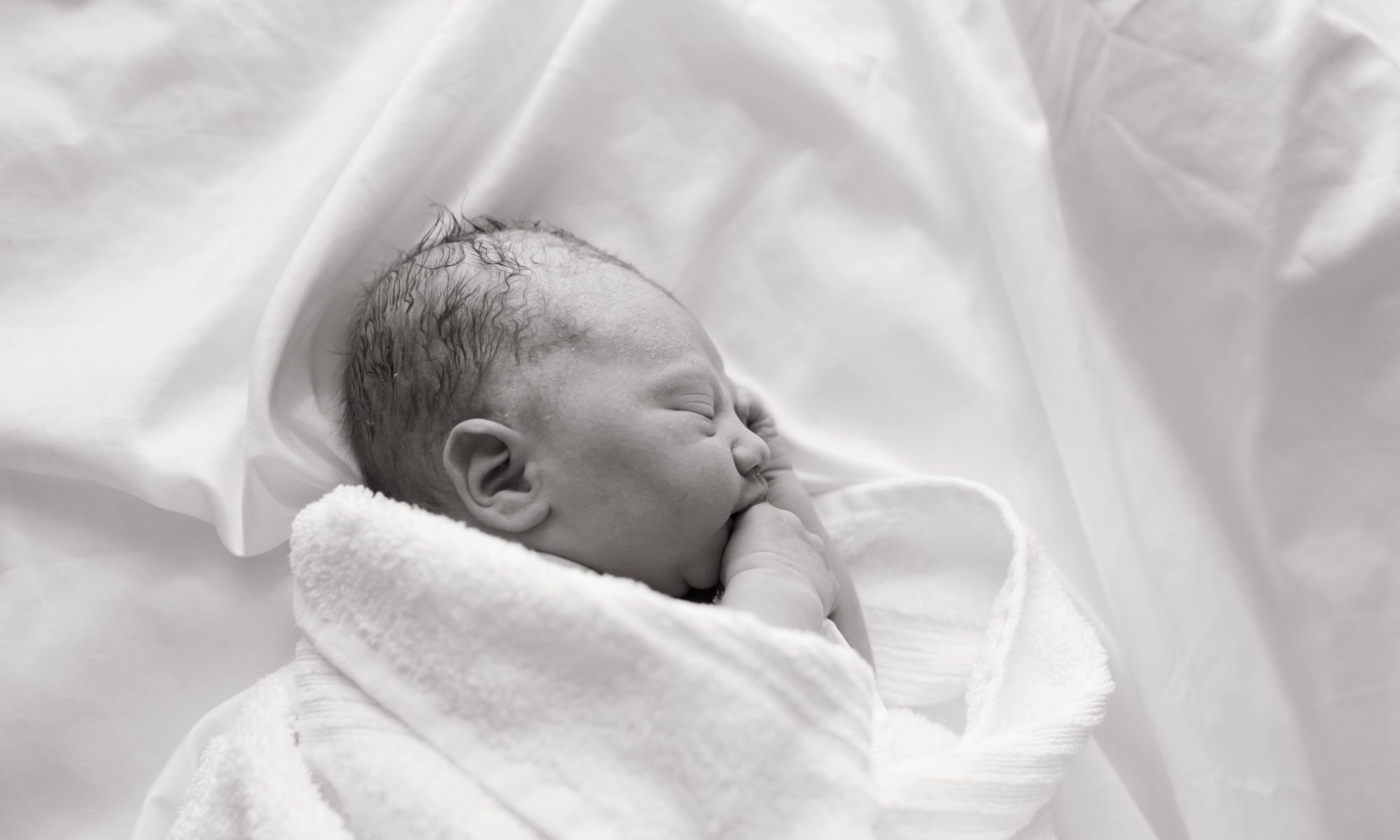 cropped-birth-232bw.jpg
